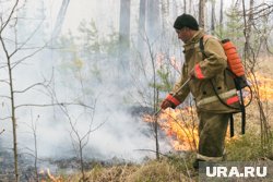 Курганцев предупредили о риске природных пожаров