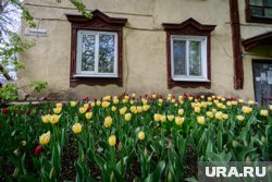 «Вторичка» дорожает быстрее, чем новостройки