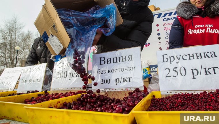 Особенно подорожает черная смородина