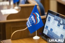 Кандидатами на предварительное голосование "Единой России" стали 210 участников СВО