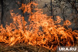 Во Владикавказе загорелось кладбище