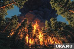 К тушению пожара в Геленджике привлекли самолет
