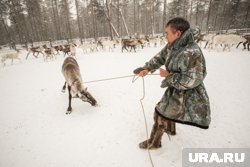 На новом предприятии смогут забивать до 200 голов в смену 