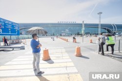 Домодедово восстановил расписание после массовых отмен рейсов