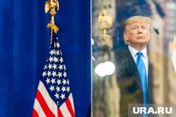 Трамп планирует начать переговоры между РФ и Украиной в первый день своего президентства