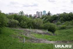 Тюменцы предлагали преобразить лог в ботанический сад