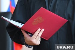 Суд заочно приговорил Эштон-Чирилло к 20 годам лишения свободы