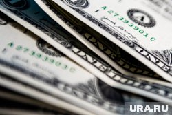 Диана Хендрикс заняла первое место в рейтинге самых богатых женщин