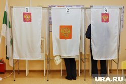 Явка на выборах в Курганской области составила почти 5%