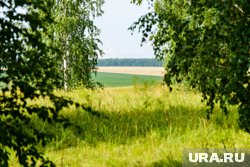 Челябинская ферма попалась на сокрытии данных о пестицидах