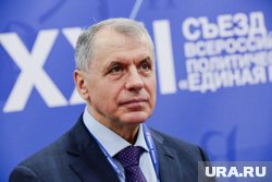 Константинов заявил, что не Зеленский не читал конституцию