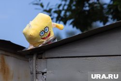 Где ребенок находится сейчас, никто не знает