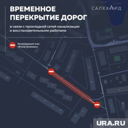 Улица Павлова будет ограничена до 15 сентября