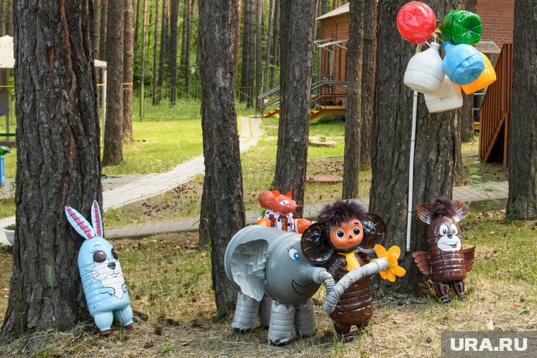 Отдых детей отменили из-за вспышки заболевания