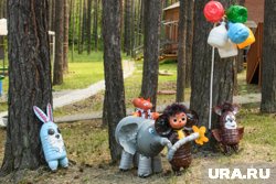 Отдых детей отменили из-за вспышки заболевания