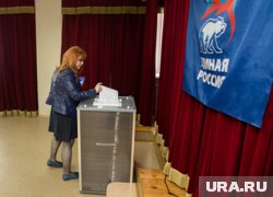 Больше всех голосов в Копейске получила домохозяйка (фото архивное)