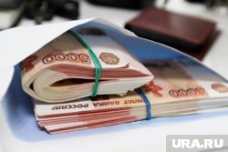 Курганские политики поделились вариантами для вложения денег