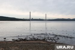 Проект направлен на развитие круизного туризма