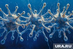 Пока нет официальных случаев заражения новым вирусом у человека