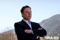 Маск заявил об угрозе демократии в ФРГ