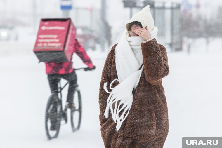 Снег выпадет в городе