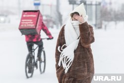 Снег выпадет в городе