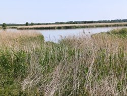 Пруды для очистки и отстаивания воды никак не связаны с открытыми водоемами