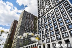 Супруга задержанного Яновского владела 11 квартирами, она получала в 10 раз больше, чем муж