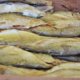 Исчезнет ли пелядь из рациона ямальцев 