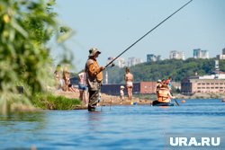 Пермяки могут выловить рыбу не уезжая из города