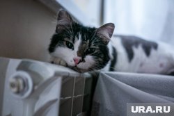 В Кургане запускают отопление в дома и соцобъекты