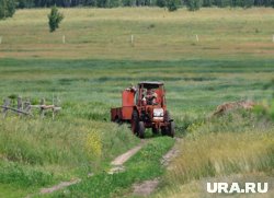 В Курганской области трактор выкосил поле с запрещенной травой