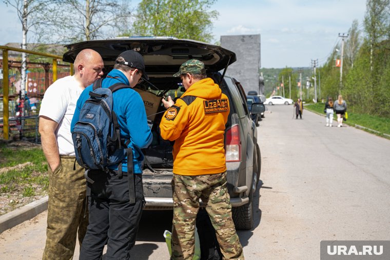 Девочку ищут волонтеры отряда Лиза Алерт" (архивное фото)