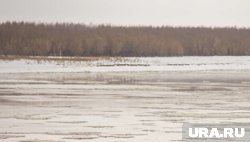 Скоро реки замерзнут совсем (архивное фото)
