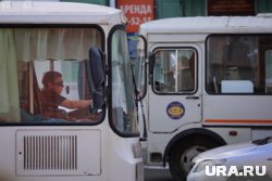 Новый способ заработать: в Кургане можно арендовать автобус и возить пассажиров