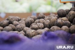 Стоимость килограмма картошки в Кургане превысила 60 рублей