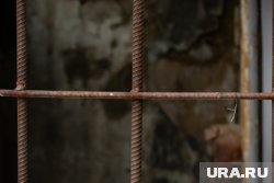 Большое число заключенных сбежало из тюрьмы к востоку от столицы Ливии Триполи