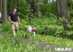 На экотропах можно встретить горожан с питомцами