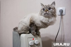 Первыми тепло дадут в школы, детские сады и больницы