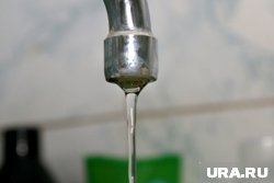 Краситель безопасен для людей, животных и природы