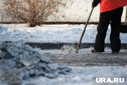 Несмотря на уведомление о задолженности, женщина штрафы не оплачивала