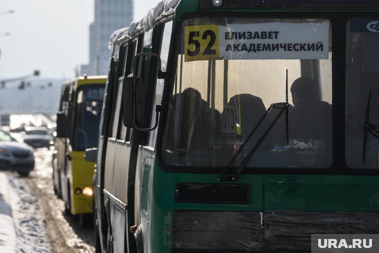 Бесплатно смогут ездить около 2300 горожан