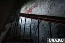 В Урае начали выселение жительницы, устроившей ферму в двух квартирах