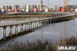 Пакман установили на озере Тихом 