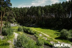 Гилевская роща максимально оборудована для отдыха на природе 