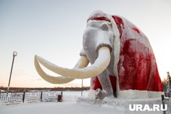 Сильный ветер и холода ждут ямальцев в ближайшие дни