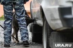 В Подмосковье задержана фура с наркотиками