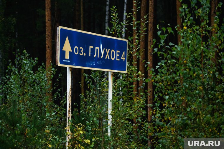 Важно помнить: дикая природа требует осторожности