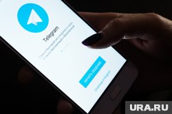 Супруга экс-мэра Воронова завела приватный канал в Telegram