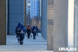 Мигранты стали реже приезжать в Сургут по итогам 2024 года